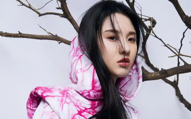 张慧雯性感写真桌面壁纸