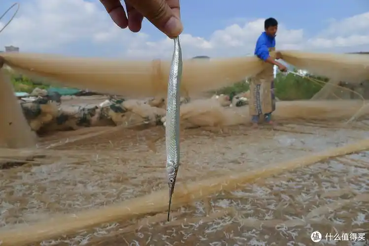 leica 徕卡 x vario 数码相机 — 准备用时间来证明是否选择正确