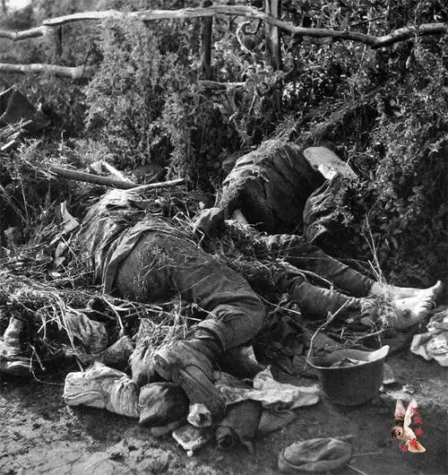 1941~42德军山地部队在乌克兰【上集】