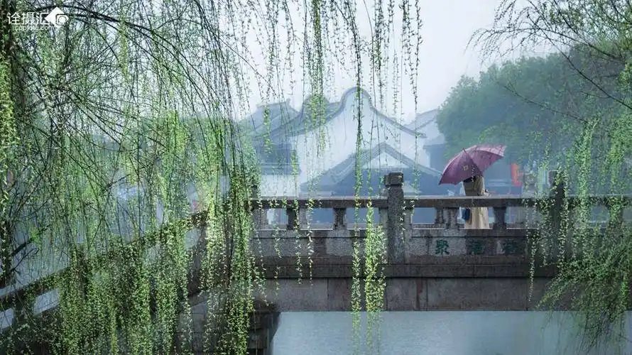 【专辑】浙江诗人佩佩:《烟雨江南春意浓》_柳丝_微风_春雨