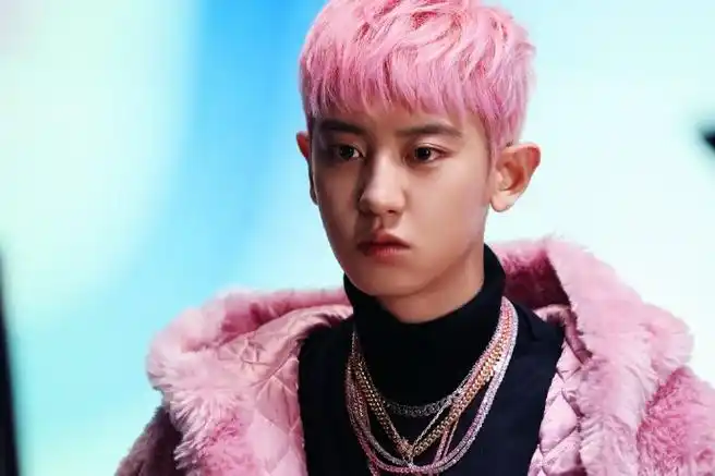 朴灿烈神图#90考古,正规六辑obsession幕后花絮90粉色皮草小狗