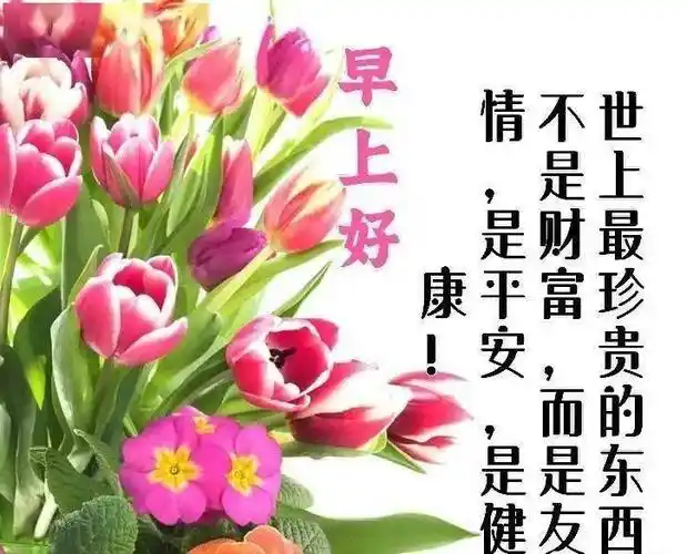 今日最新早上好图片大全,如意吉祥,健康平安_祝福_问候_最好的