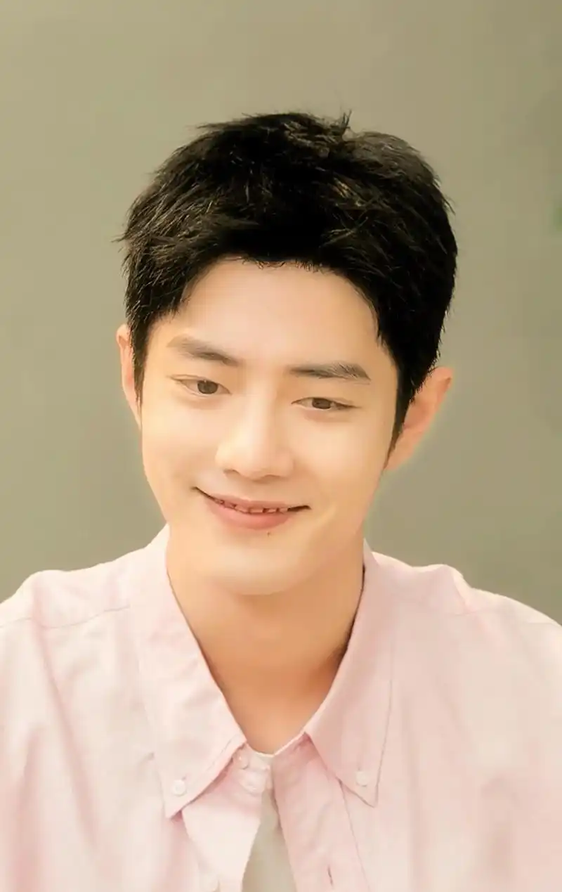 肖战各种风格的微笑