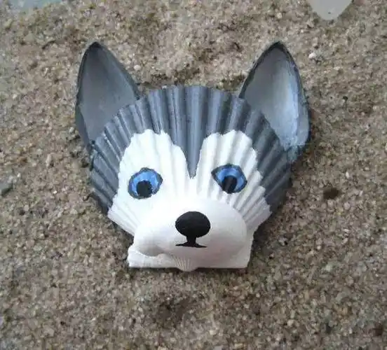 【贝壳手工】超赞,赞,赞的几十种贝壳手工制作,提升幼儿园环创逼格!