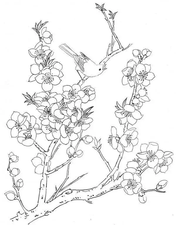 三月桃花工笔画