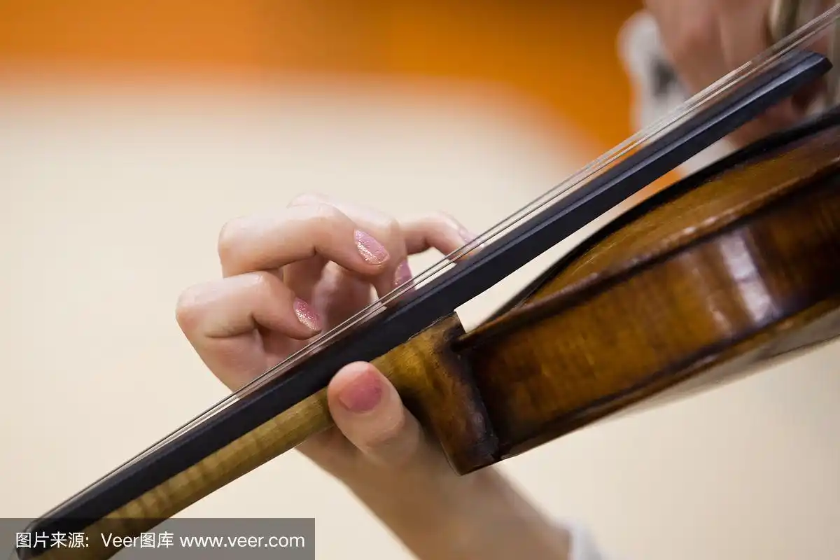 小提琴,手,弦乐器,女孩,艺术家