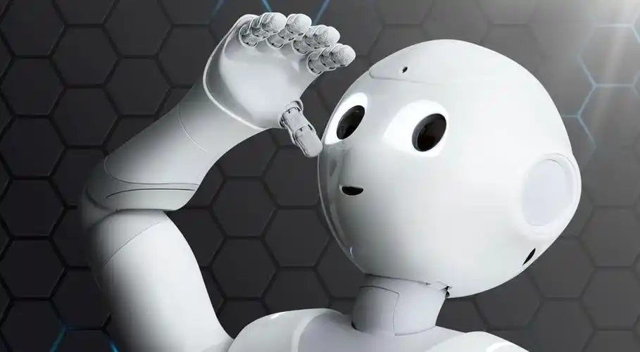 pepper机器人|人形 /人声 /人性机器人