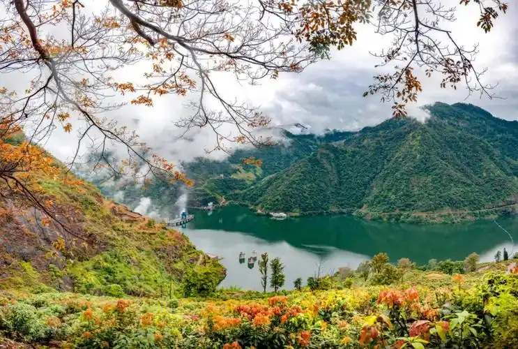 养在盐边二滩百里生态长廊上的一龙长舞