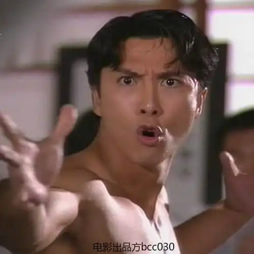 的是甄子丹主演的《精武门》里面的陈真,那个时候,看这部电视剧的时候