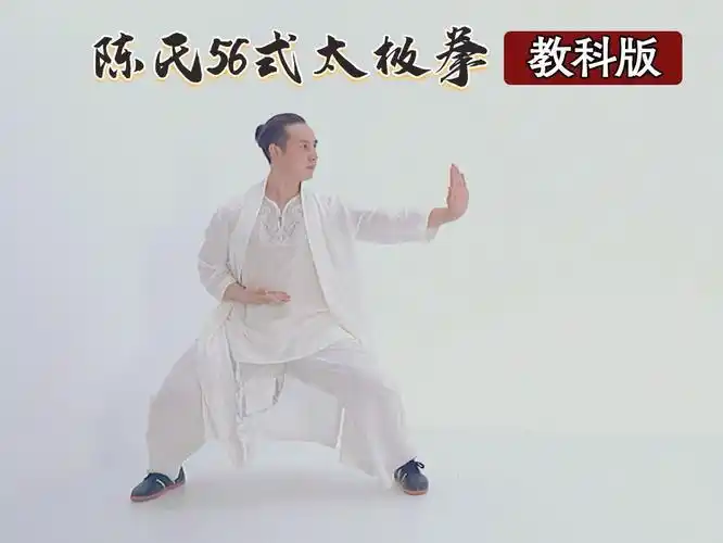 超赞教科级陈氏56式太极拳完整演练示范