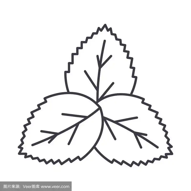 薄荷,绿色沙拉矢量线图标,标志,插图的背景,可编辑的笔触