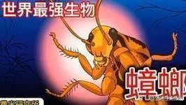九成人不知道"蟑螂"天敌是啥:家里面放个它,蟑螂"逃跑光"了