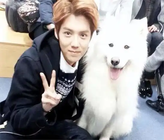 关晓彤,快管管你男友:34岁鹿晗直播带货,已彻底"放飞自我"了