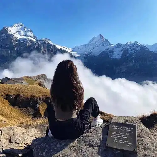 有没有好看的背影头像