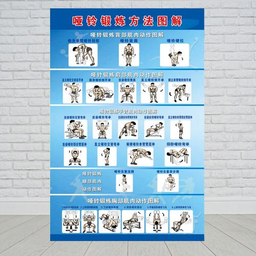 哑铃杠铃锻炼方法体操图解康复墙贴健身房 哑铃锻炼方法图解 厚pp胶