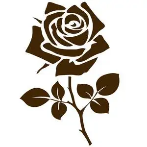 黑色的剪影玫瑰花花序, 白色的背景下分离的白线.