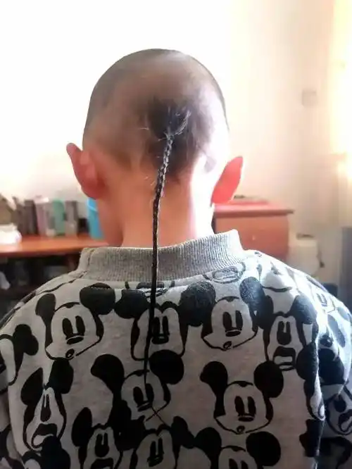 1958年,我上小学一年级,班里有一个姓刘的男同学,脑后留着一根小辫子