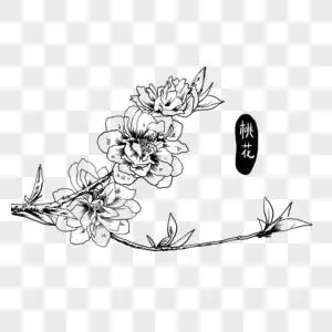 手绘桃花_手绘桃花图片大全_手绘桃花背景图片