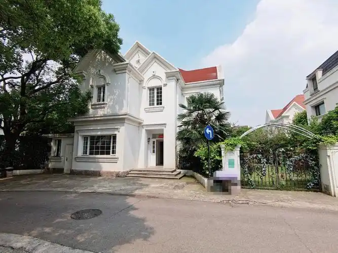 青浦虹桥整栋别墅