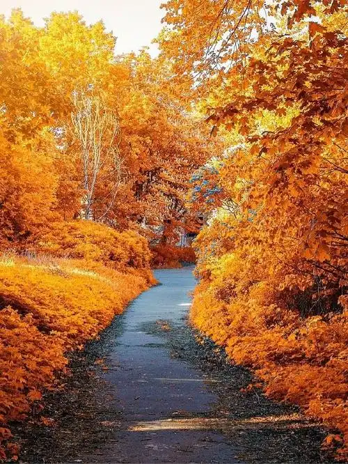 适合朋友圈个性签名的文案##朋友圈文案##文案##朋友圈背景图##壁