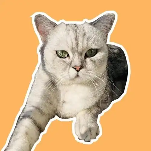 猫王做螺蛳拌面是种什么体验?