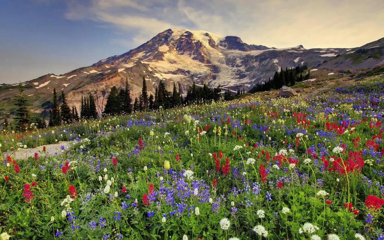 陕西2014年中考政策