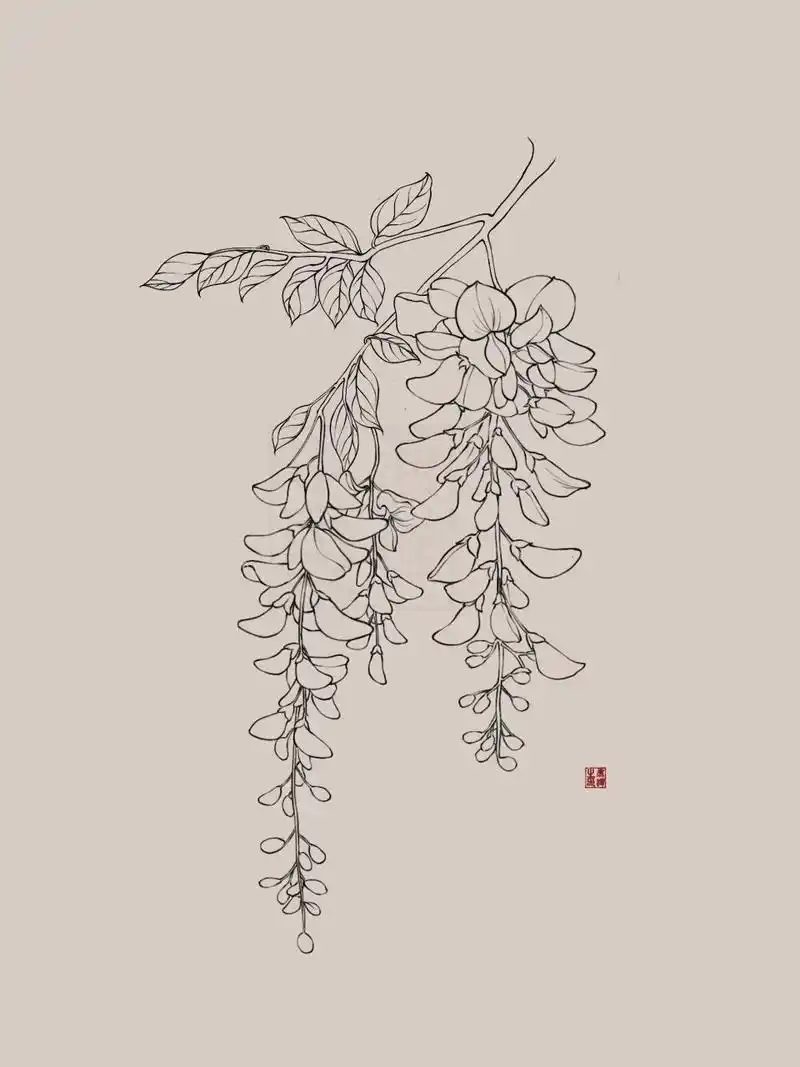 古风花卉系列之七 紫藤花 我正在跟张小白学习古风插画,学习打卡第27