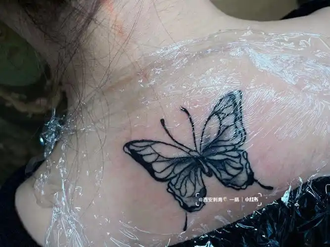 女生纹身  #西安纹身  #蝴蝶纹身  #纹身也清新  #我的纹身分享  #小
