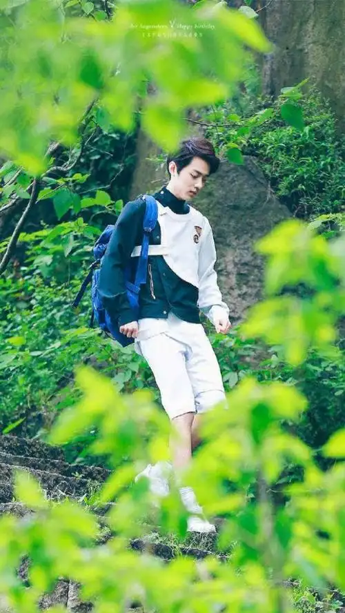 20190830肖战绿色系手机壁纸