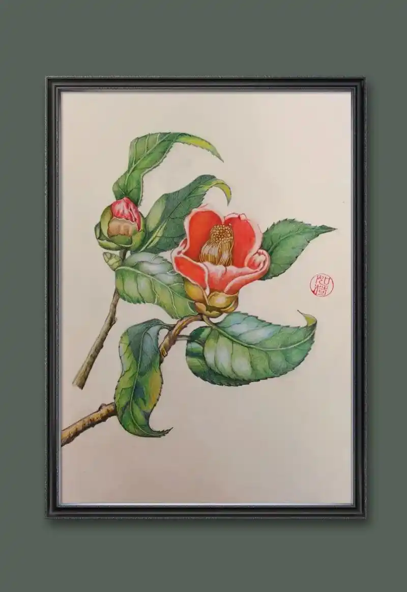 一起学画画 #彩铅手绘 #一花一草一世界