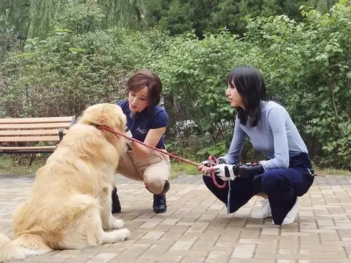 养狗人不讲公德,干净自己埋汰别人,请别打扰别人生活好么?