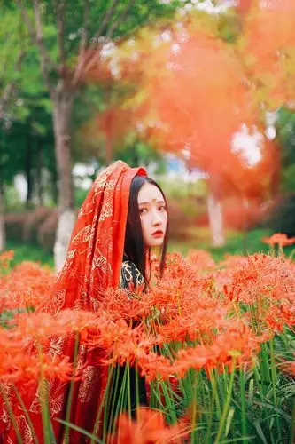 标题:汉服写真-彼岸花