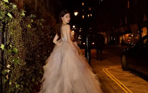 徐璐优雅图片壁纸(7/8)