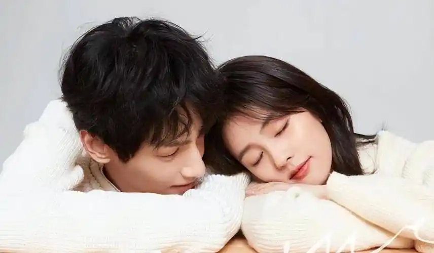 白鹿,张凌赫恋爱了?罗云熙已经出局?_白鹿和_合作_工作