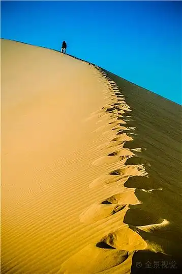 沙漠,行走,脚印,蓝天,背影_高清图片_全景视觉