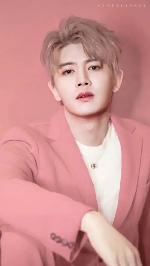 任嘉伦粉色系壁纸