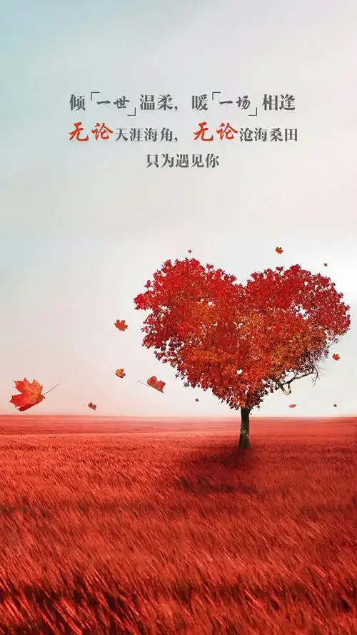 陪伴是最长情的告白