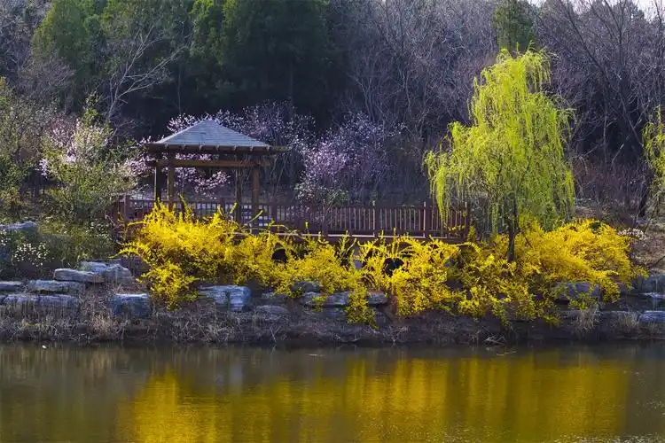 宿迁三台山国家森林公园美图