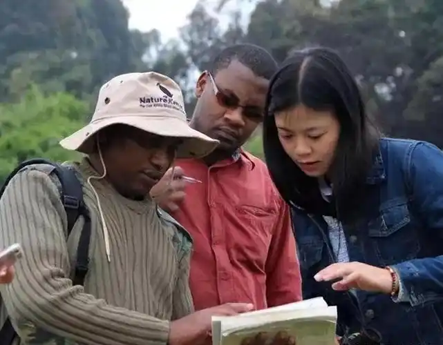 校花陈怡远嫁非洲酋长儿子却接客度日父亲解救无果身亡