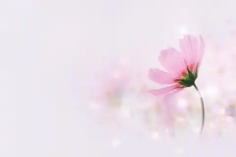 亲情感慨的句子你能悟透多少