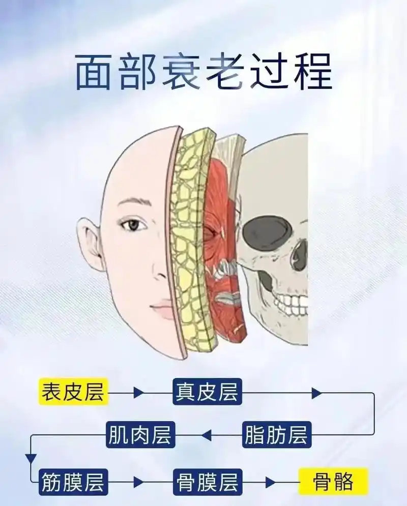 皮肤衰老的过程!抗衰要趁早啊.#抗衰#秋季护肤#护肤小知识  - 抖音