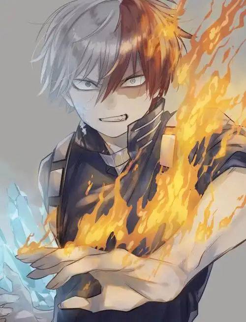 我的英雄学院轰焦冻