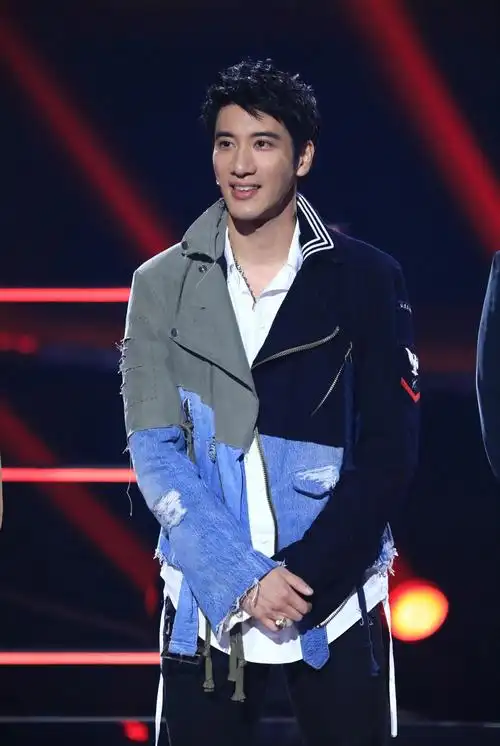 王力宏中国好声音剧照图片