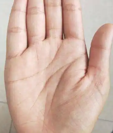 金星丘饱满,为人大度,身体健康,经历旺盛,很富有同情心,而且在财运