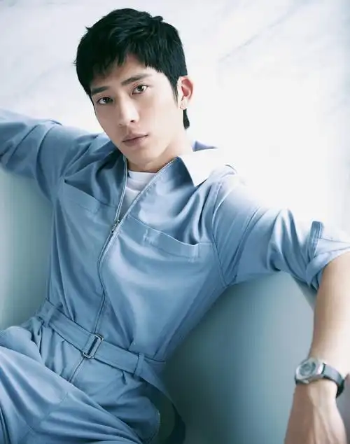 井柏然蓝色工装服帅气写真图片36