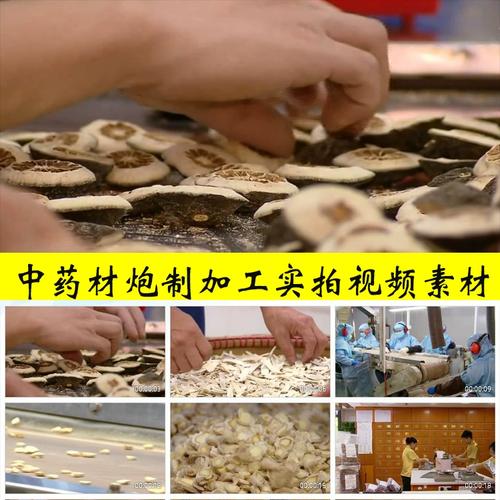中药材炮制加工中医中药房抓药中国传统医学实拍视频素材