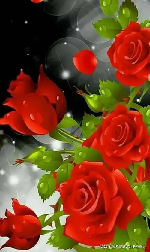 壁纸美图,心有阳光,一路鲜花盛开