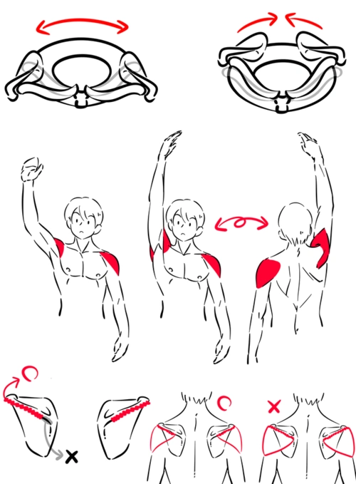 人体结构造型的塑造难点,你都懂了咩?