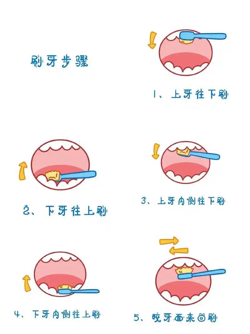 幼儿园刷牙步骤高清图片.#幼儿园 #幼教资源共享 #环创素材 - 抖音