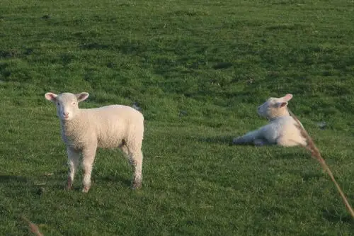 3月14日 12:39   关注  ins潮图 神仙背景 手机壁纸